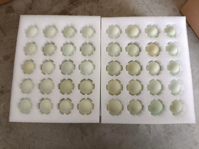 新鲜绿壳鸡蛋土鸡蛋虫草蛋草鸡蛋乌鸡蛋整件批发