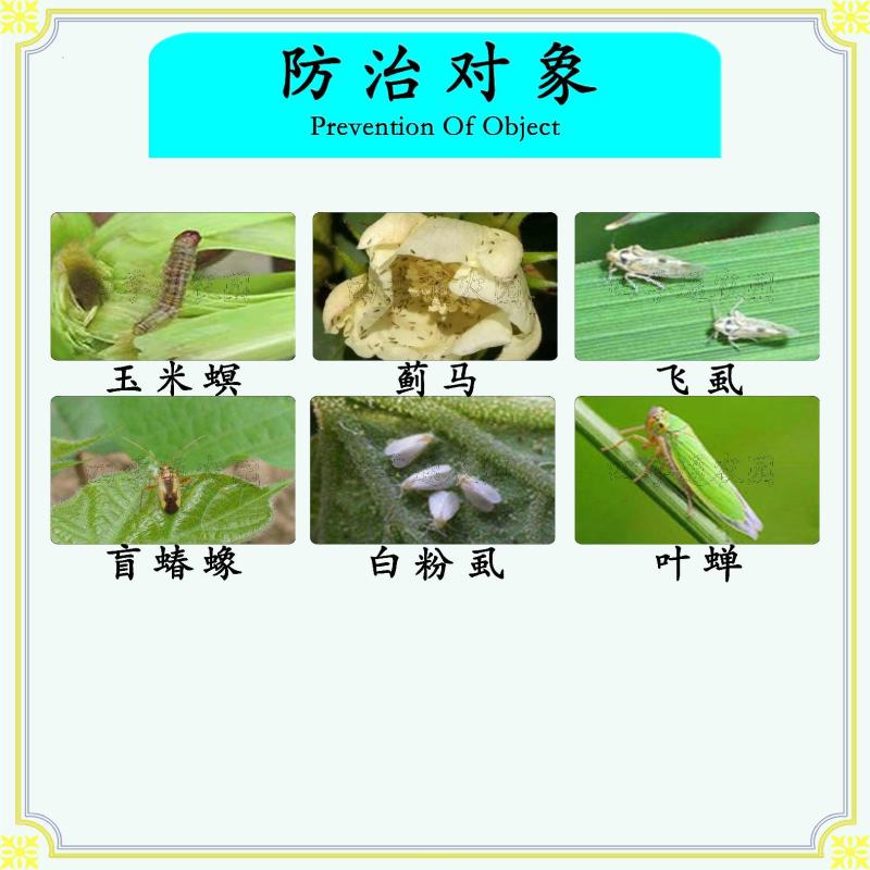 嘉绿元6%联菊啶虫脒飞虱稻飞虱白粉虱蚜虫蓟马叶蝉玉米螟