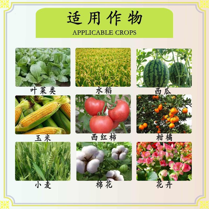 嘉绿元6%联菊啶虫脒飞虱稻飞虱白粉虱蚜虫蓟马叶蝉玉米螟