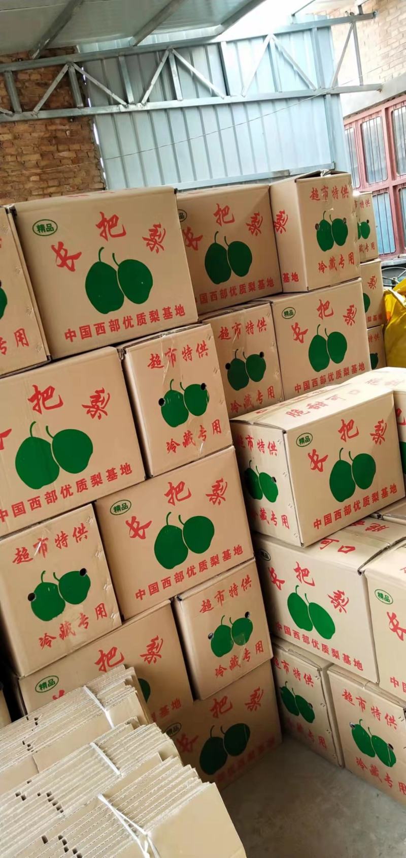 长把梨～冷库长把梨长把梨/新鲜口感好//全国代发