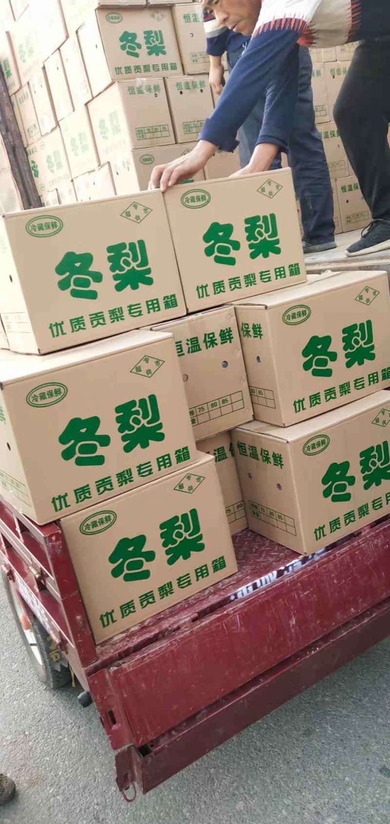 长把梨～冷库长把梨长把梨/新鲜口感好//全国代发