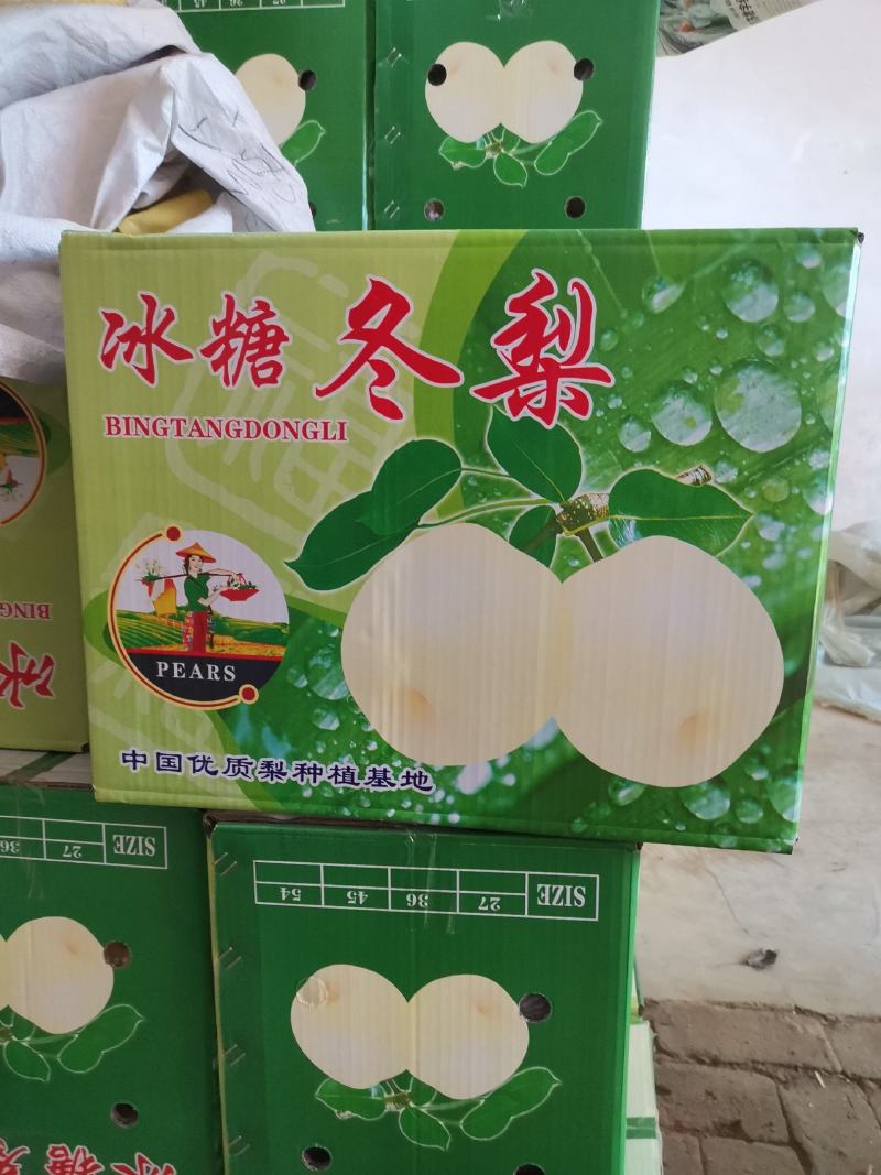 长把梨～冷库长把梨长把梨/新鲜口感好//全国代发