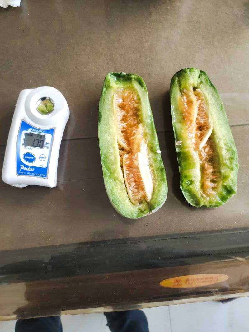 脆梨甜瓜，白金蜜，甜瓜香瓜哈密瓜基地！产地大量供应
