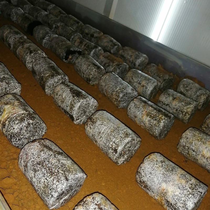 红托竹荪菌大量现货，低价促销，买到就是赚到，发家致富好项