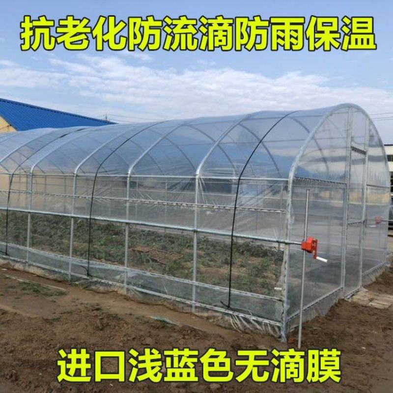 大棚膜po膜无滴膜黑白膜防火养殖膜连栋温室保湿透明塑料布