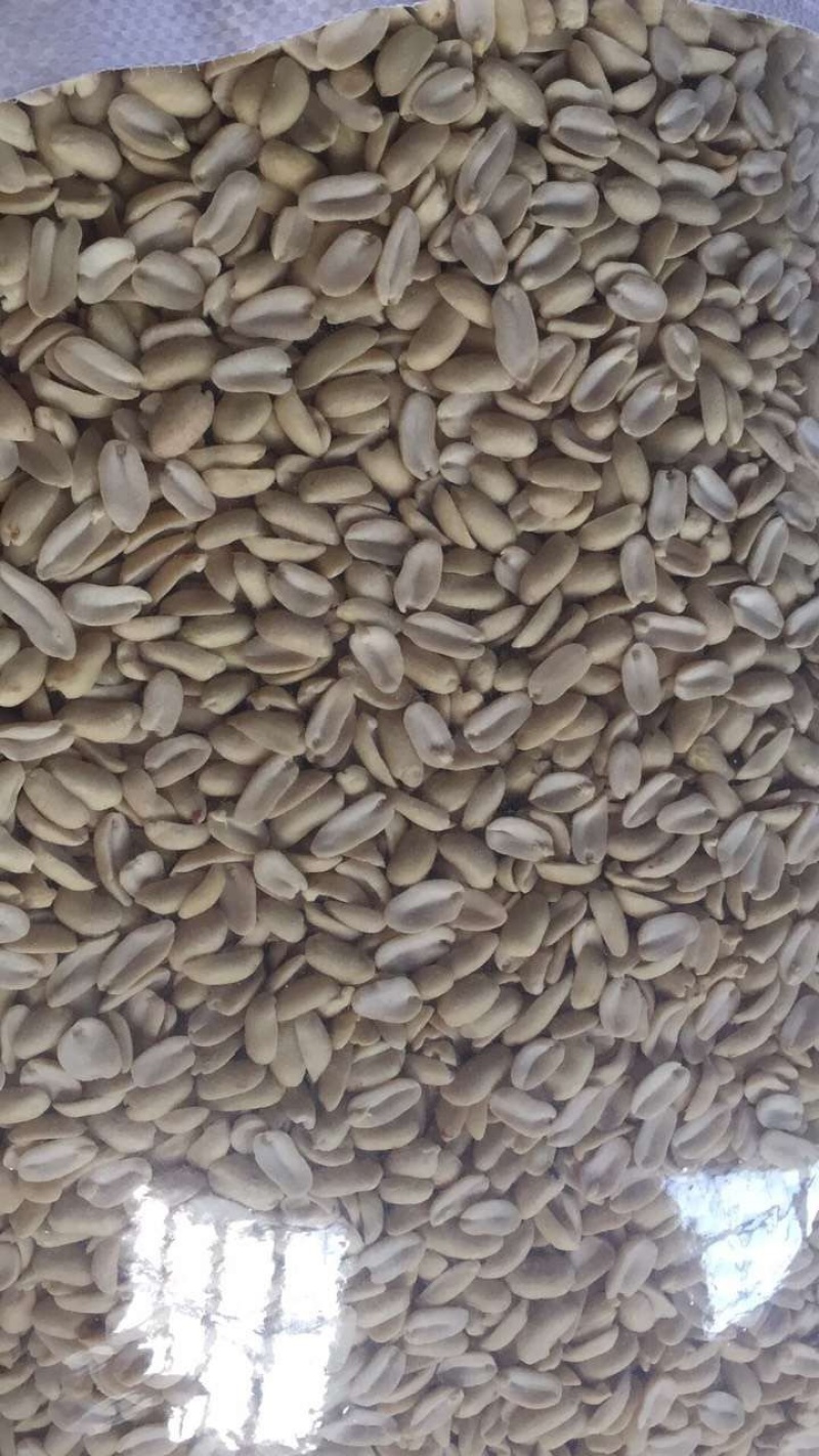 新季山东各类脱皮乳白去皮花生仁，整粒和半粒(可定做规格)