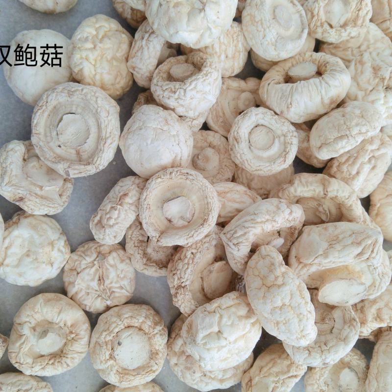 口蘑，又名坝上白蘑菇承德特产剪根产于平泉一年四季有货