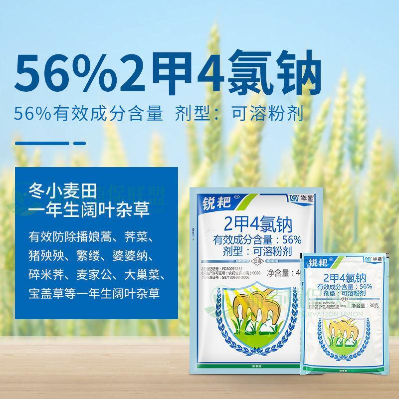 二甲四氯钠华星锐耙56%2甲4氯钠冬小麦一年阔叶草除草剂