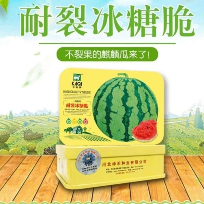 西瓜种子耐裂冰糖脆西瓜种子中早熟瓤色艳红甘甜多汁西瓜种子