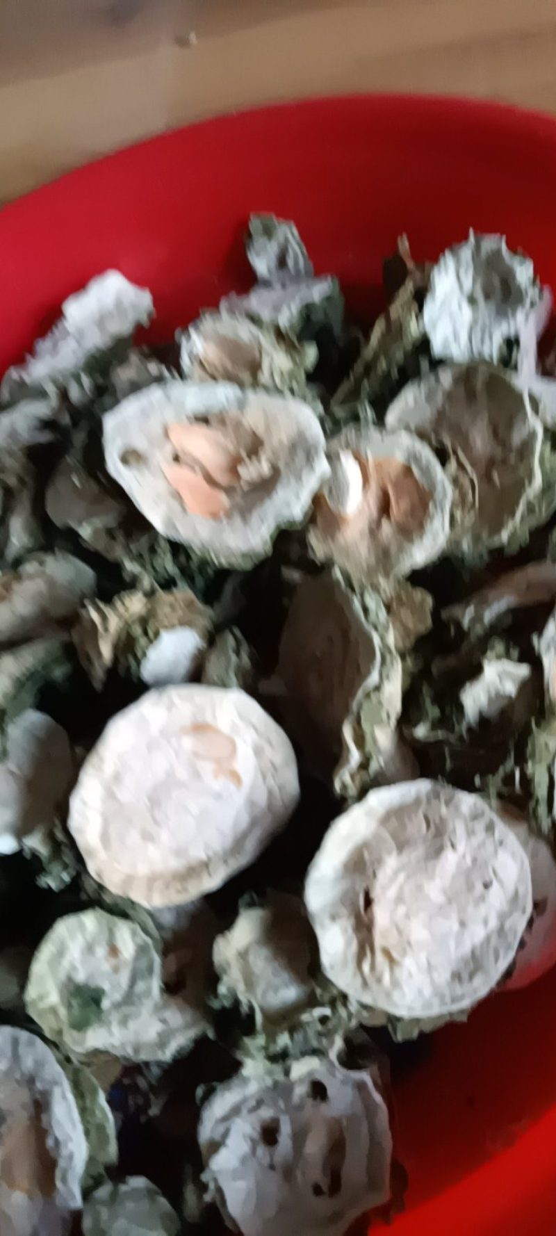 农家自制的苦瓜干，清凉新鲜，1斤为一件包邮。