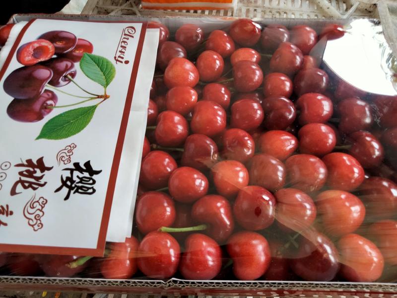 山东大樱桃便宜了，品种齐全，果园直供，市场代办