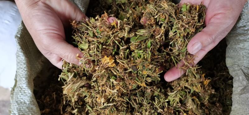 优质金银花手工花泡茶贵州原生中药材