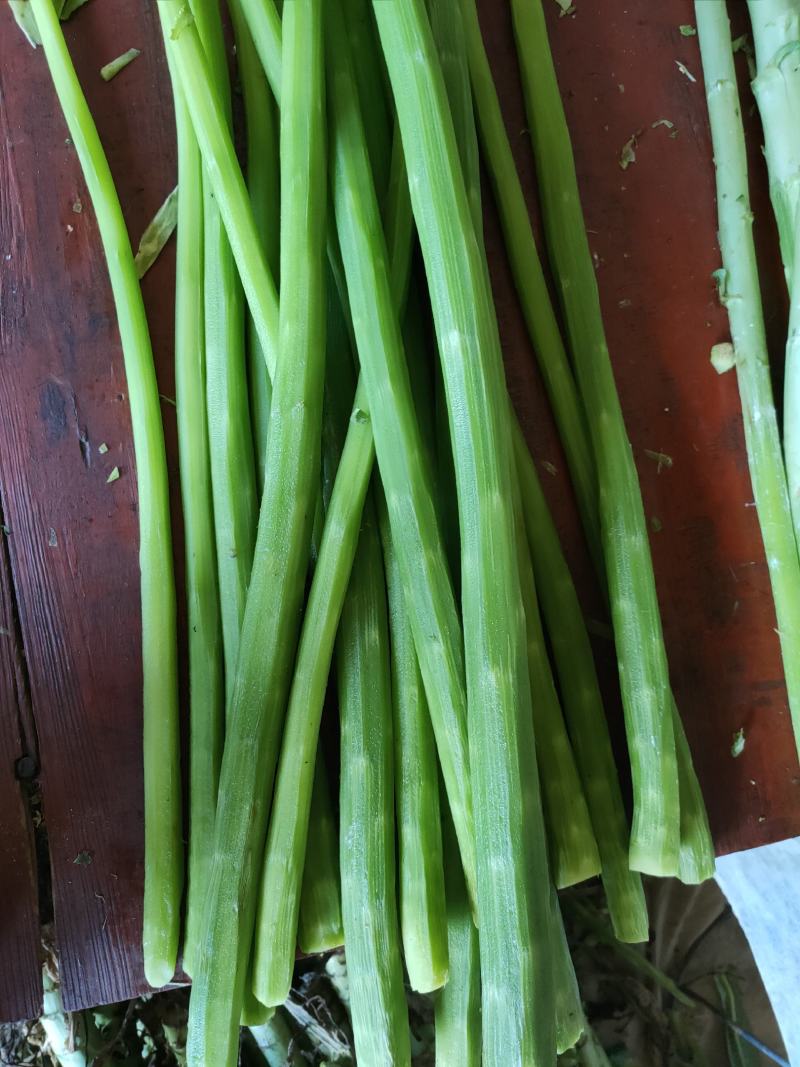 贡菜