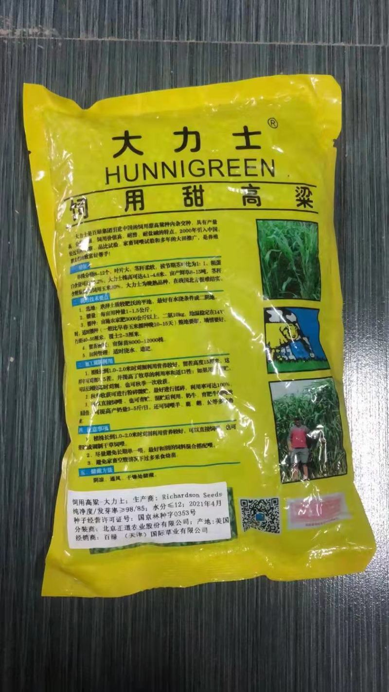 菊苣种籽养殖大叶多年生四季牧草种子羊牛兔鸡鸭鹅猪草种孑鱼