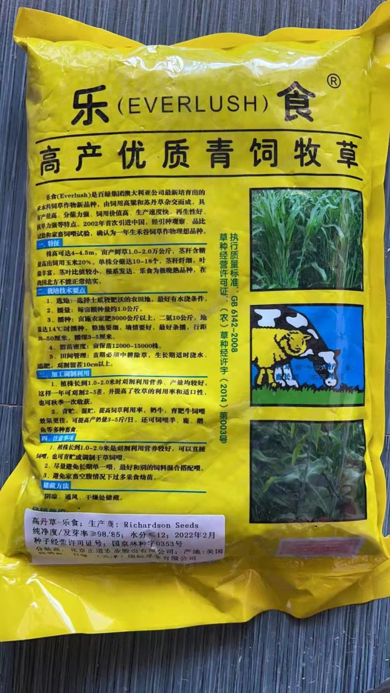 菊苣种籽养殖大叶多年生四季牧草种子羊牛兔鸡鸭鹅猪草种孑鱼