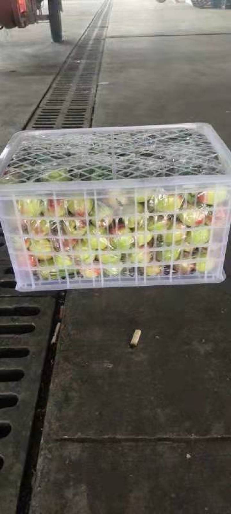 云南露天油桃，黄芯白芯品种齐全专业种植专业代办，一级货品