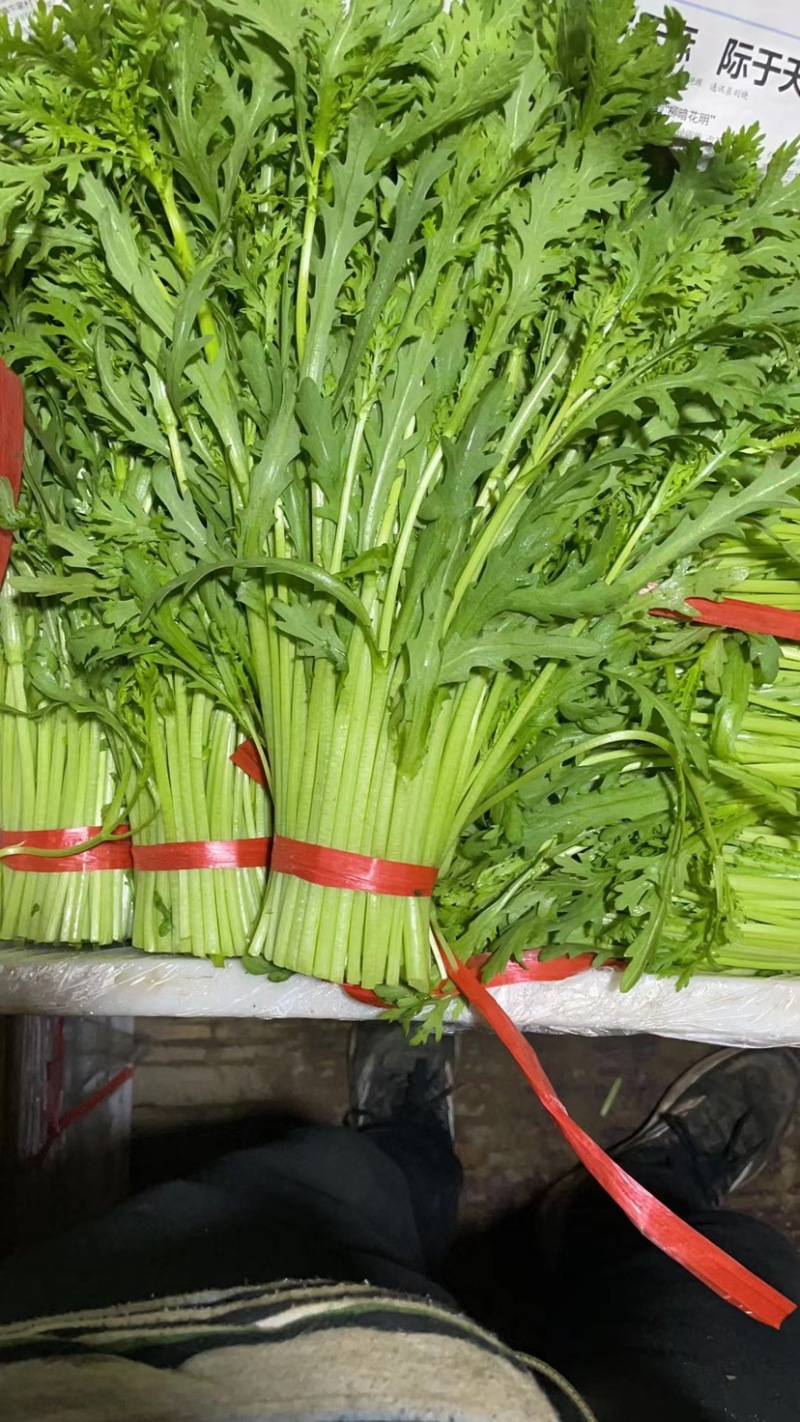 山芹茼蒿全是精品