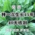 菊苣种籽养殖大叶多年生四季牧草种子羊牛兔鸡鸭鹅猪草种孑鱼