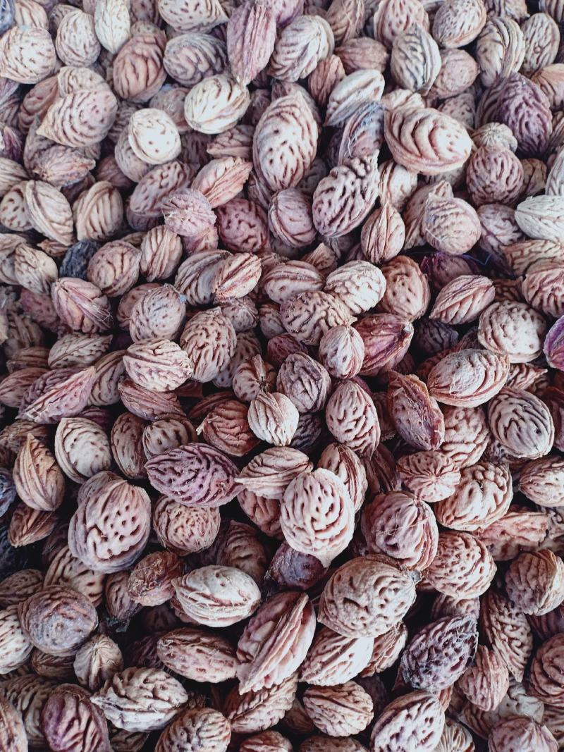 毛桃种子，颗粒饱满，颜色好