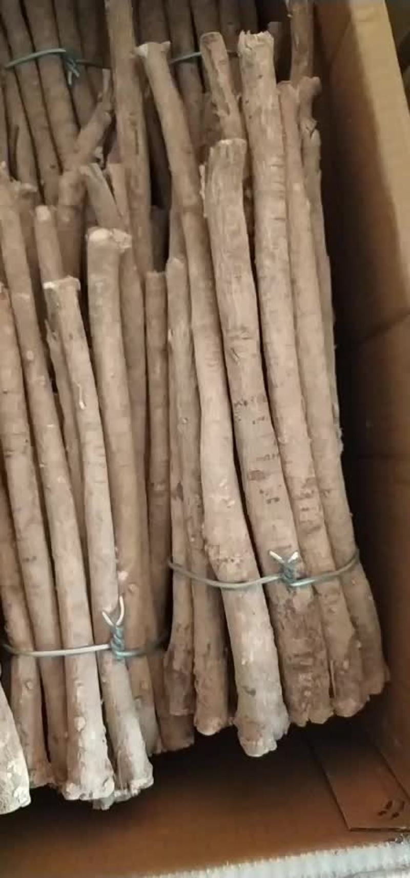 甘肃岷县黄芪片主根条切制，优质北芪切片无硫原装货产地直供