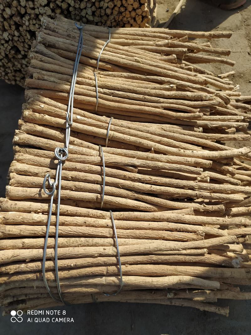 甘肃岷县黄芪片主根条切制，优质北芪切片无硫原装货产地直供