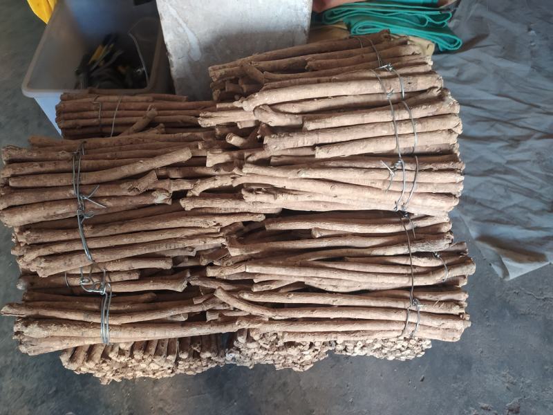 甘肃岷县黄芪片主根条切制，优质北芪切片无硫原装货产地直供