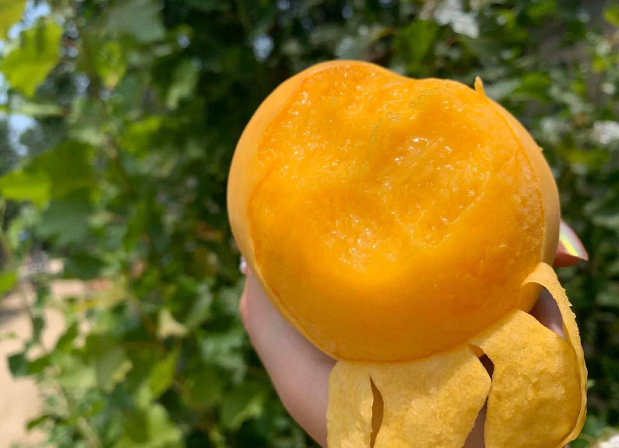 成熟黄桃切开后露出金黄色果肉,旁边摆放着几颗褐色的黄桃种子,背景为田园土壤环境,展示果实与种子的关系 黄桃果实与种子特写对比图