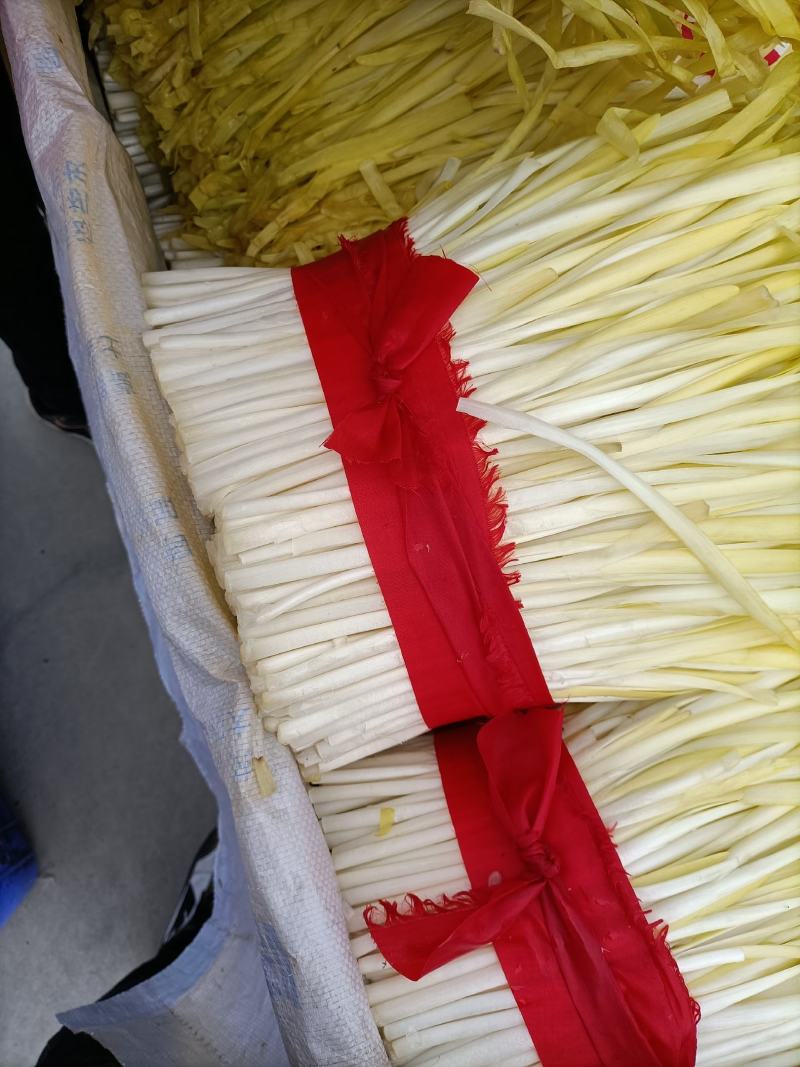 广东佛山市南海区中南市场精品韭黄