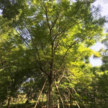 各种各样的规格都有