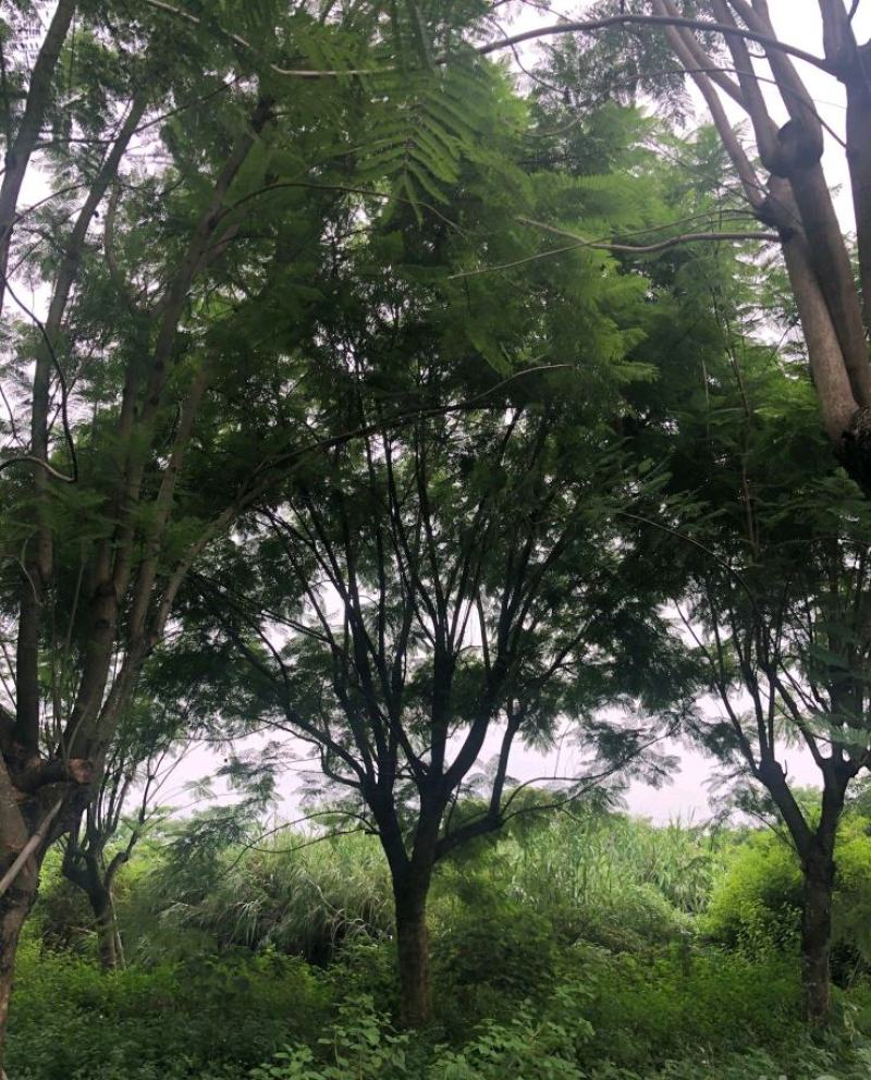 各种各样的规格都有