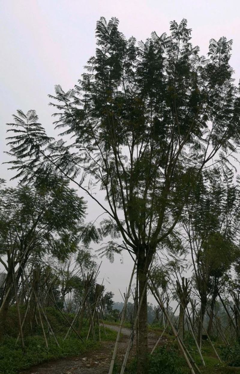 各种各样的规格都有