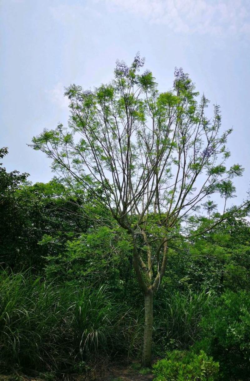 各种各样的规格都有