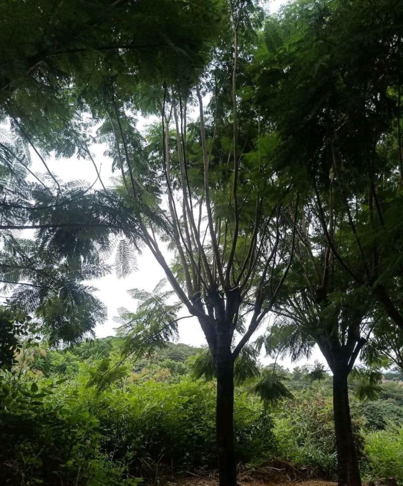 各种各样的规格都有