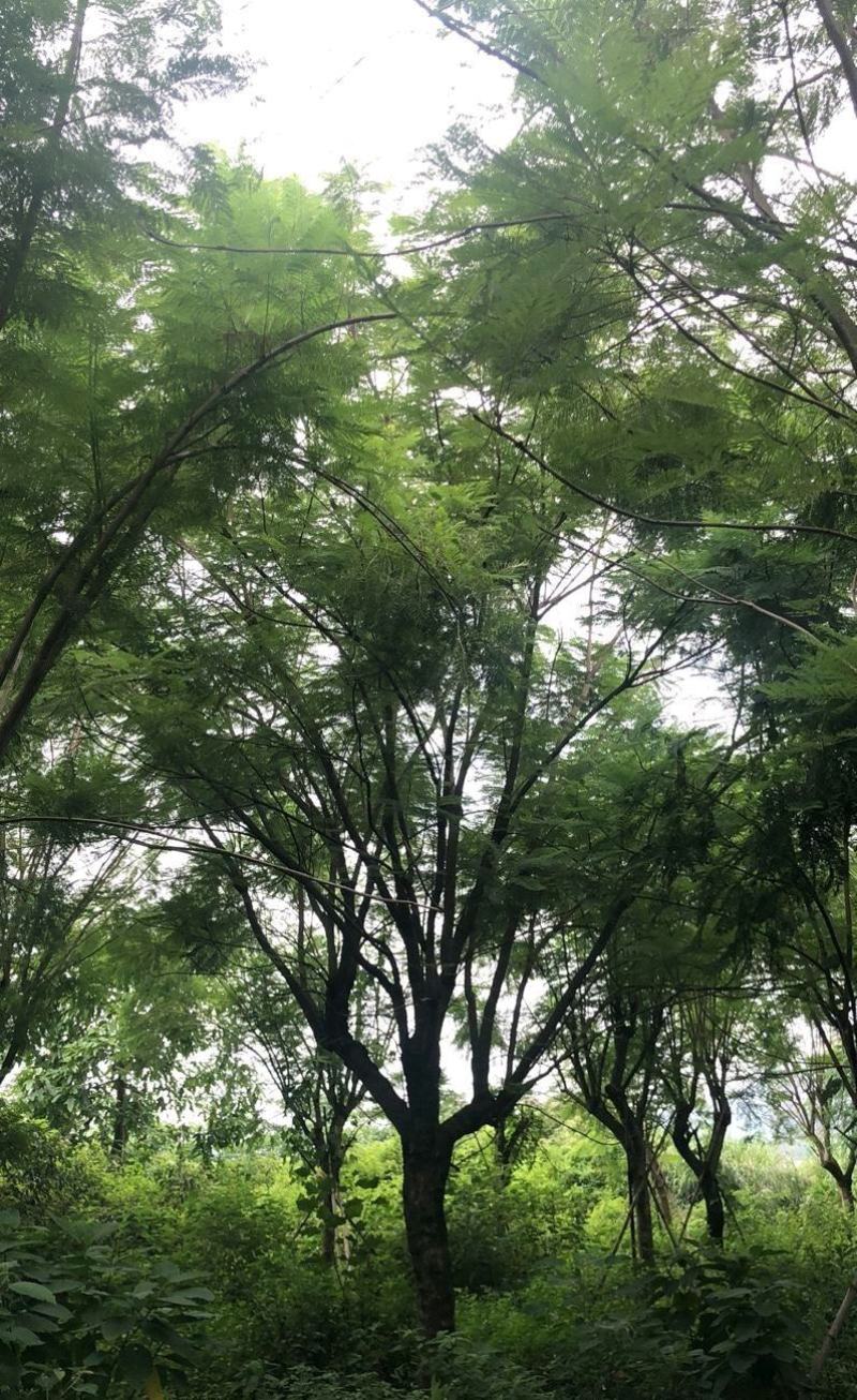 各种各样的规格都有