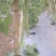 (不包邮)露地种植无筋豆
