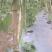 (不包邮)露地种植无筋豆