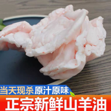 生羊油新鲜羊油羊腰油羊肚油烧烤熬油