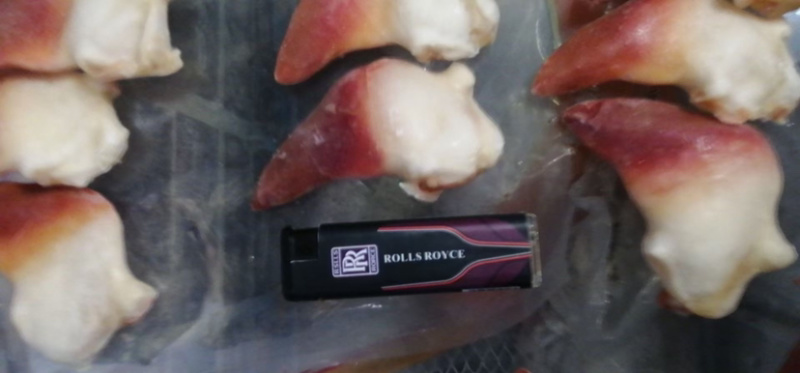 北极贝刺身料理日料刺身北极贝