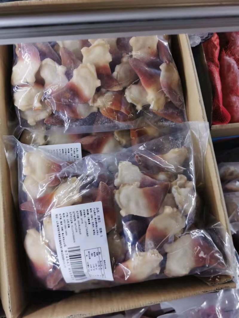 北极贝刺身料理日料刺身北极贝