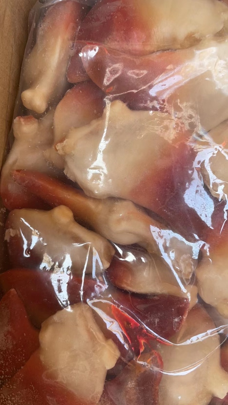 北极贝刺身料理日料刺身北极贝