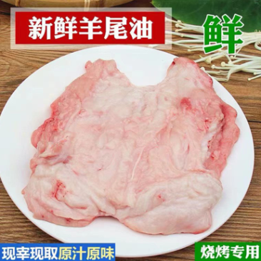 羊尾油新鲜生羊油火锅烧烤穿串串