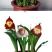 四季开花猴面小龙兰花苗耐寒盆栽花卉猴头兰花阳台水培水生养