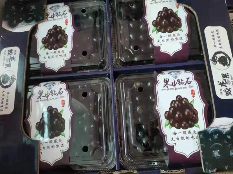 嘉宝果/果中钻石/树葡萄商超连锁店市场电商团购来电洽谈