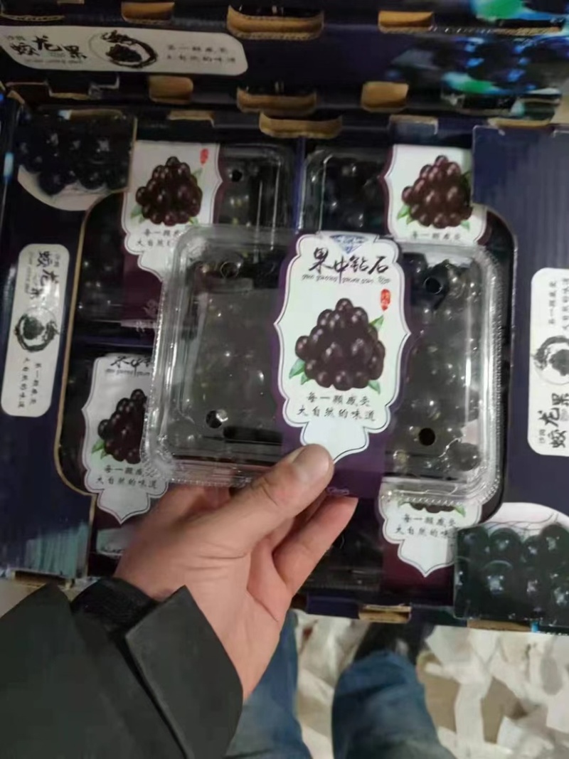 嘉宝果/果中钻石/树葡萄商超连锁店市场电商团购来电洽谈