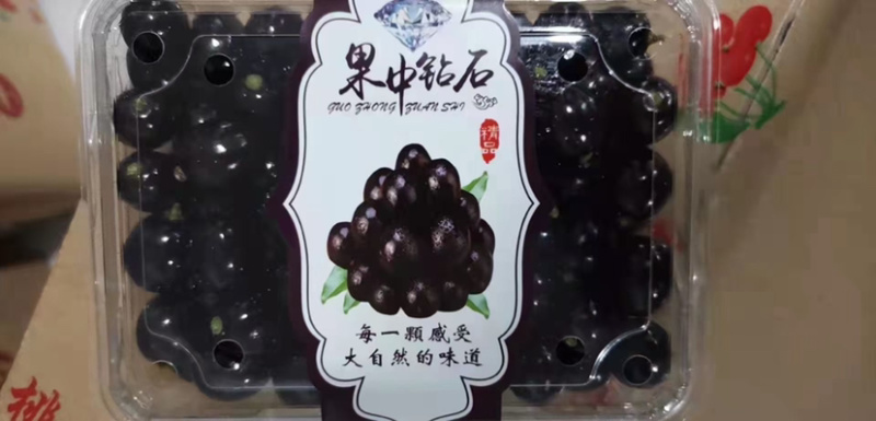 嘉宝果/果中钻石/树葡萄商超连锁店市场电商团购来电洽谈