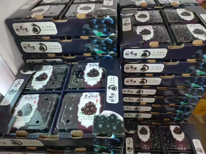 嘉宝果/果中钻石/树葡萄商超连锁店市场电商团购来电洽谈