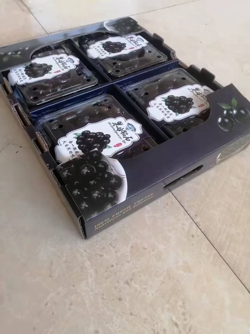 嘉宝果/果中钻石/树葡萄商超连锁店市场电商团购来电洽谈