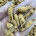 正宗美国花旗参精选特级8年老参