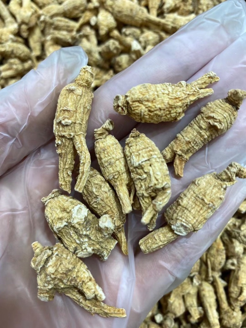 正宗美国花旗参精选特级8年老参