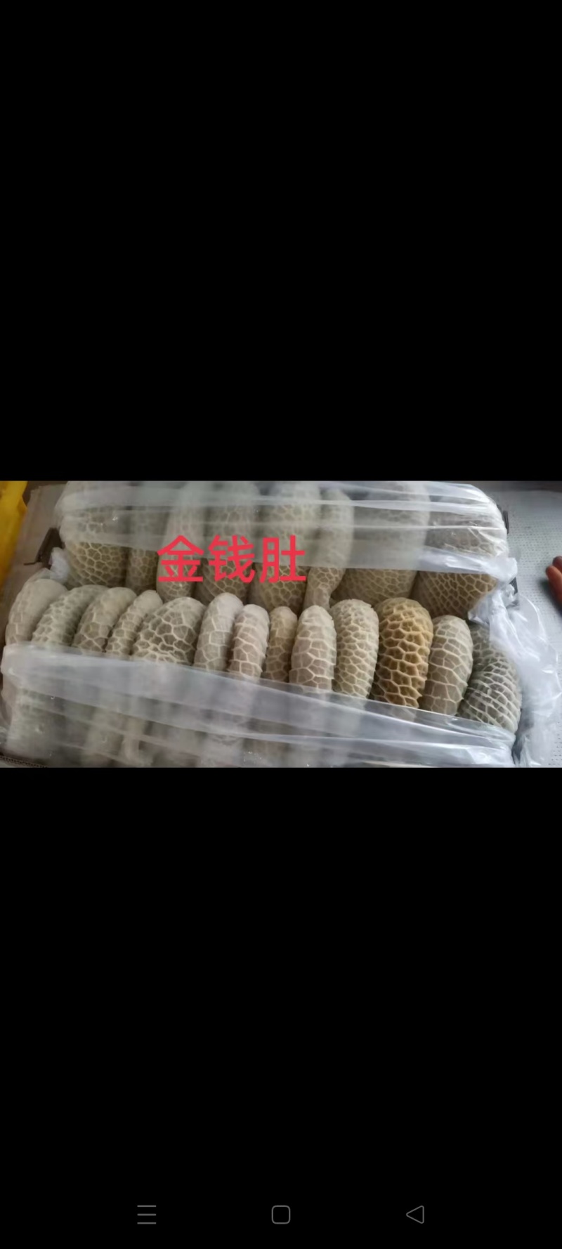 牛全肚